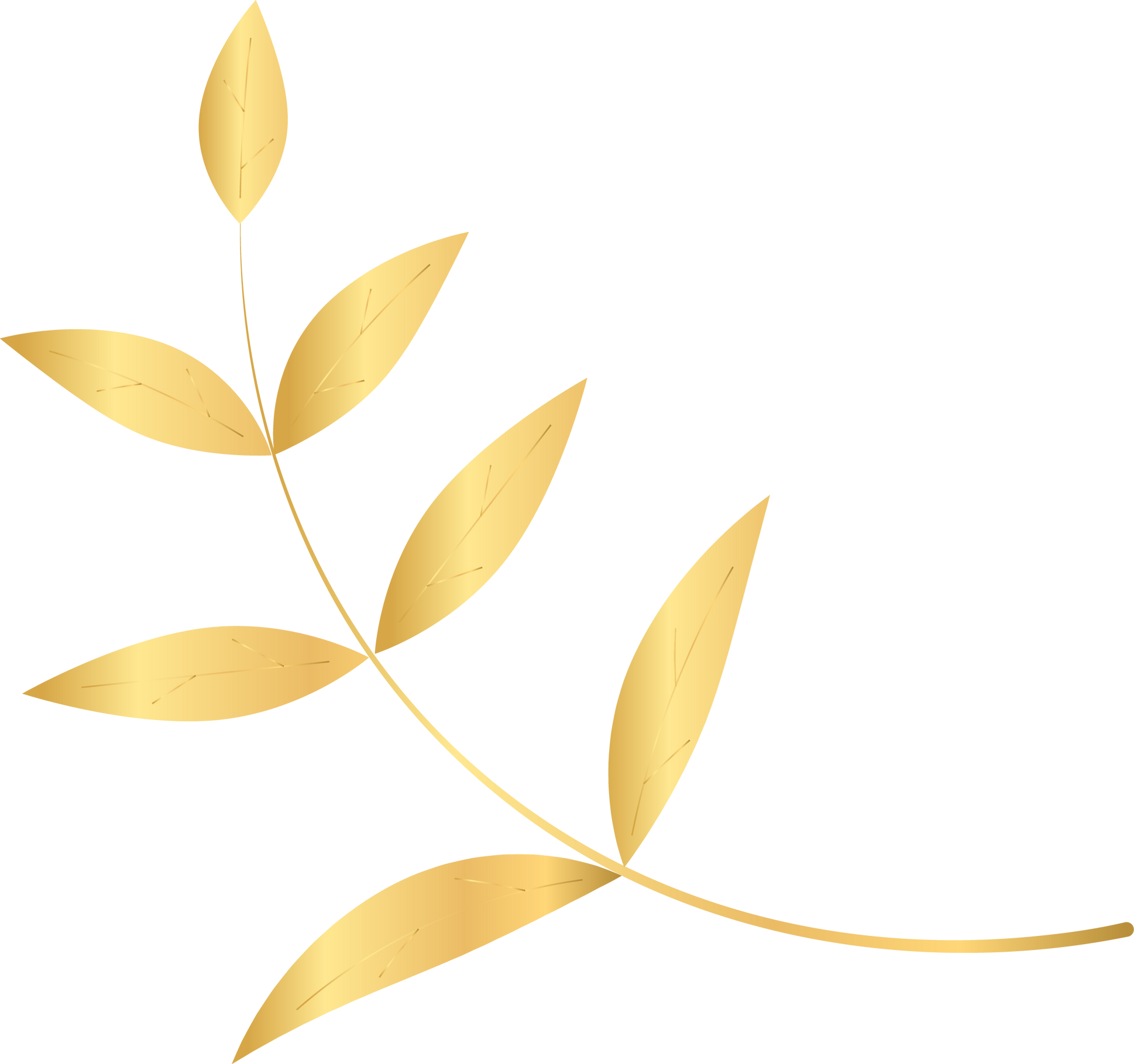 Golden Leaf And Branch For Decoration